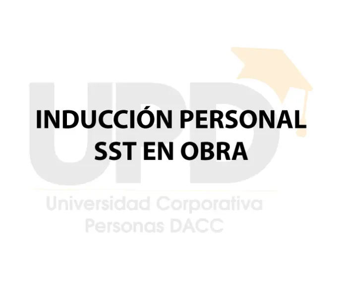 ENTRENAMIENTO PERSONAL SST EN OBRA
